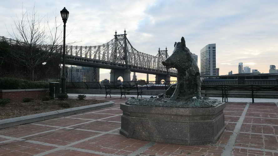 NYC_2020-01-27 07-41-55_P1070725